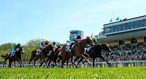 ネット競馬の馬券の買い方！新クイーンカジノアプリでの購入方法を解説