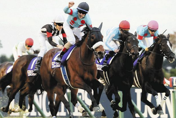 名古屋競馬のコース・騎手の特徴や傾向は？予想方法と上手な馬券の買い方を徹底解説